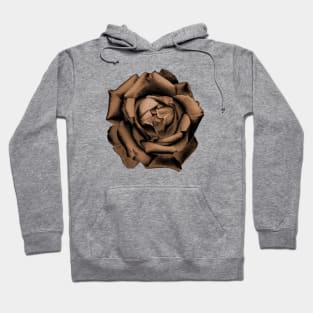 Orange Charcoal Rose Hoodie